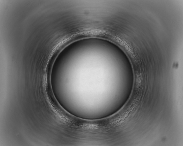X0000100960582200807011334