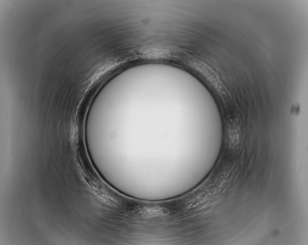X0000100960583200807011334