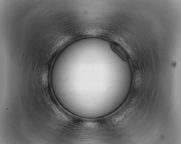 X0000100960585200807011334