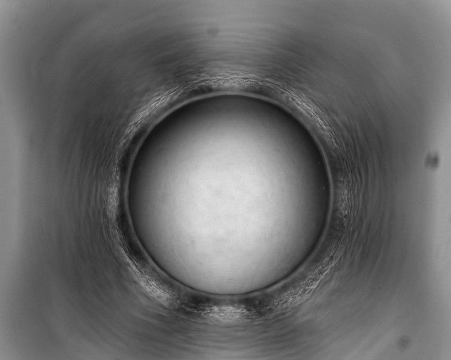 X0000100960586200807011334