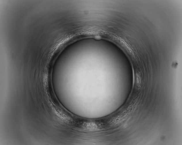 X0000100960588200807011334
