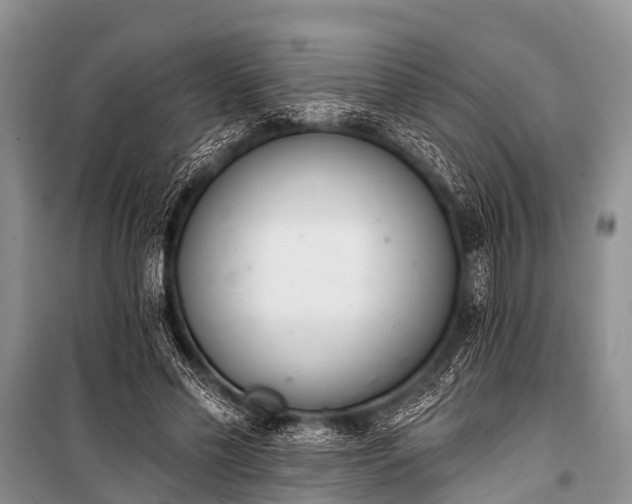X0000100960589200807011334