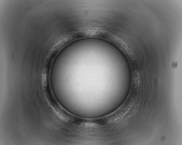 X0000100960590200807011334