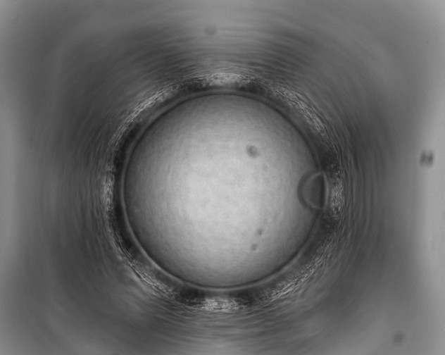 X0000100960591200807011334