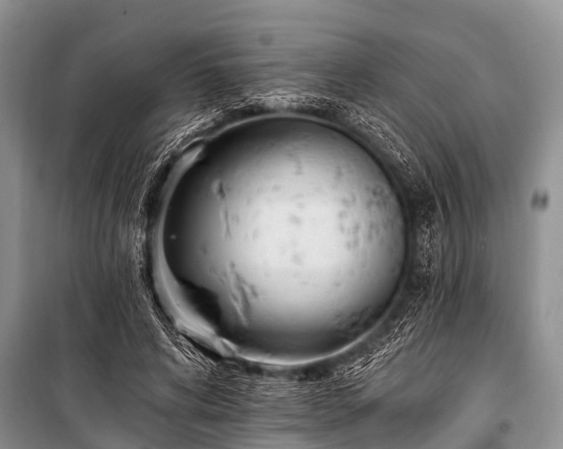 X0000100960592200807011334