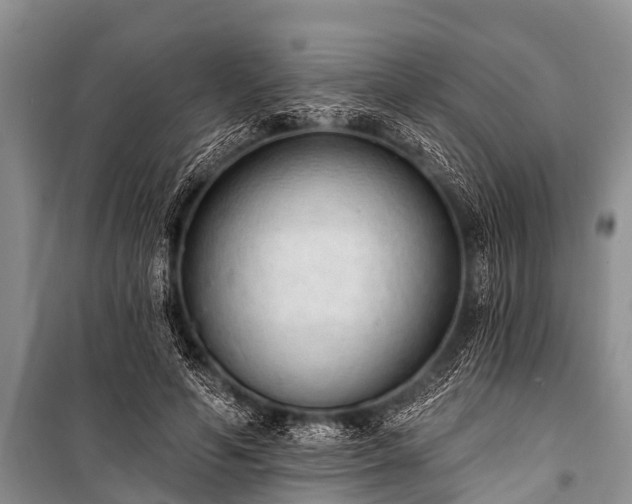 X0000100960594200807011334
