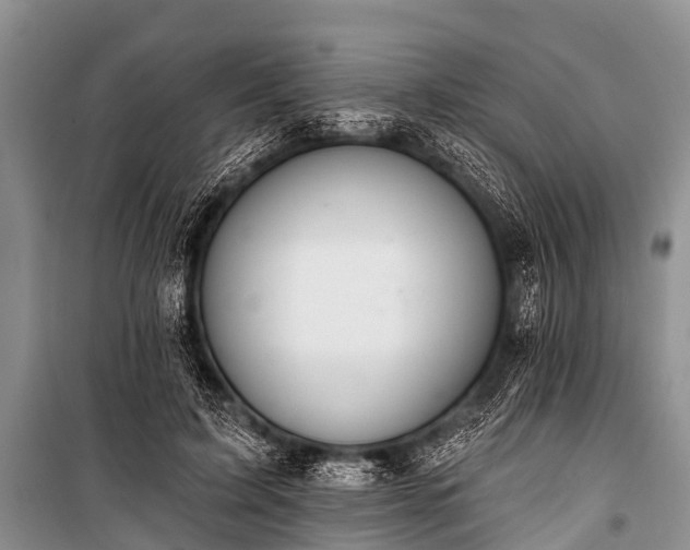 X0000100960595200807011334