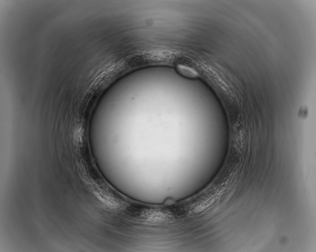 X0000100960597200807011334