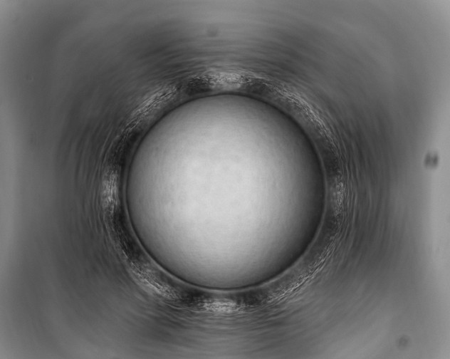X0000100960598200807011334