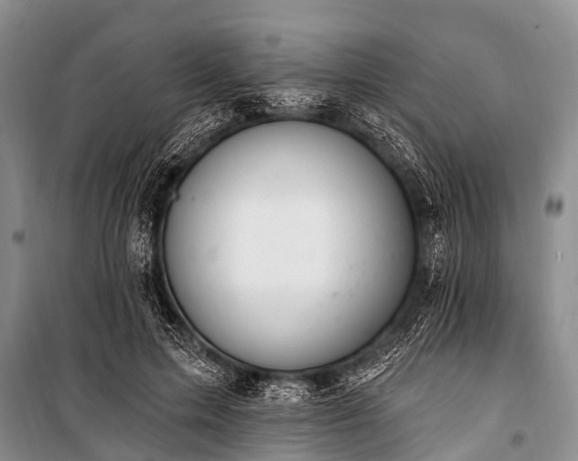 X0000100960599200807011334