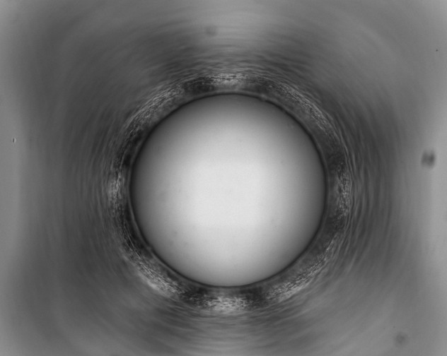 X0000100960601200807011334