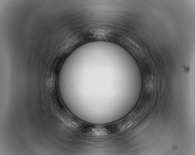 X0000100960603200807011334