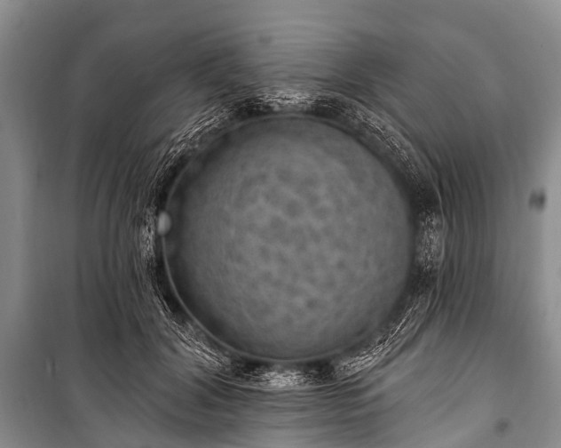 X0000100960604200807011334