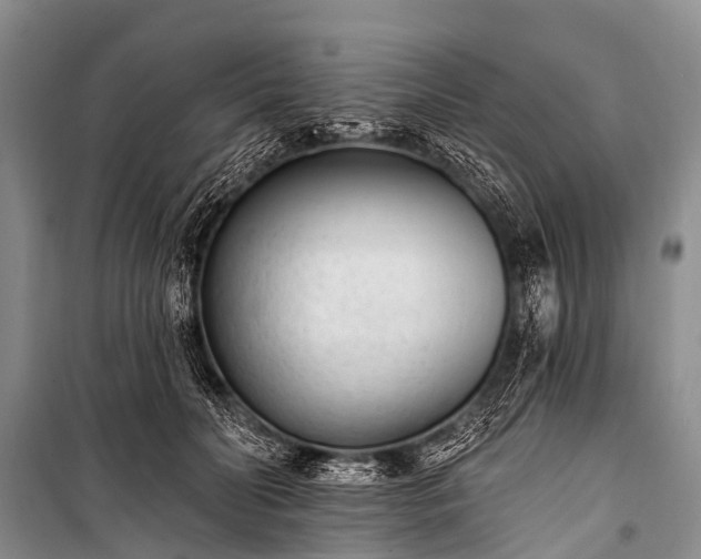 X0000100960606200807011334