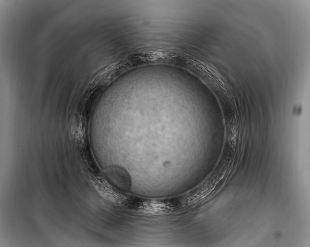 X0000100960607200807011334