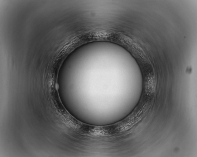 X0000100960608200807011334