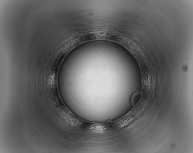 X0000100960610200807011334