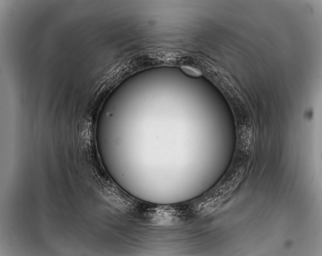 X0000100960612200807011334