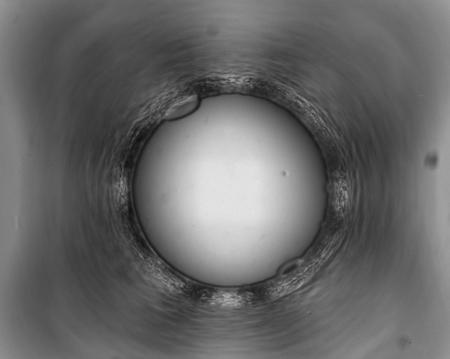 X0000100960613200807011334