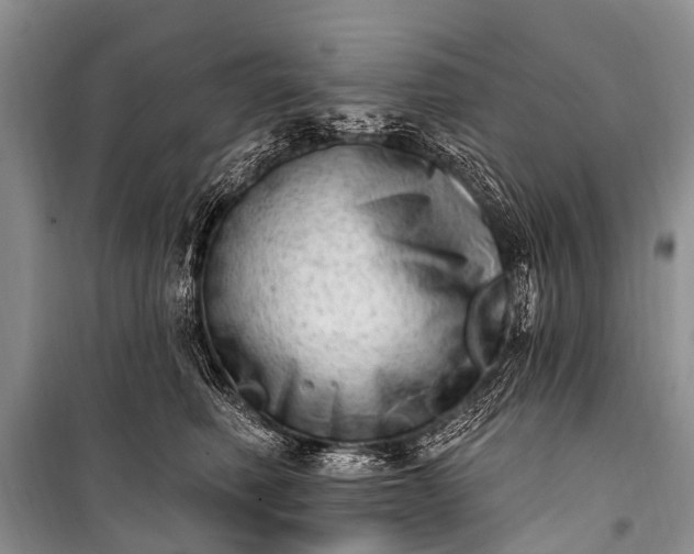 X0000100960614200807011334