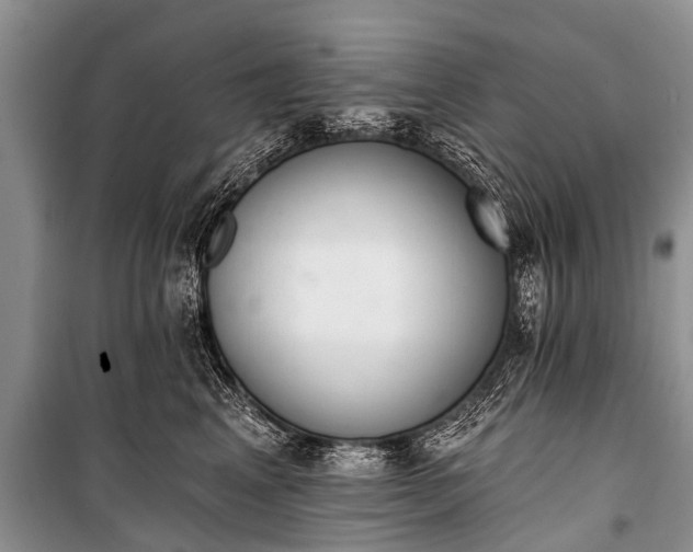 X0000100960617200807011334