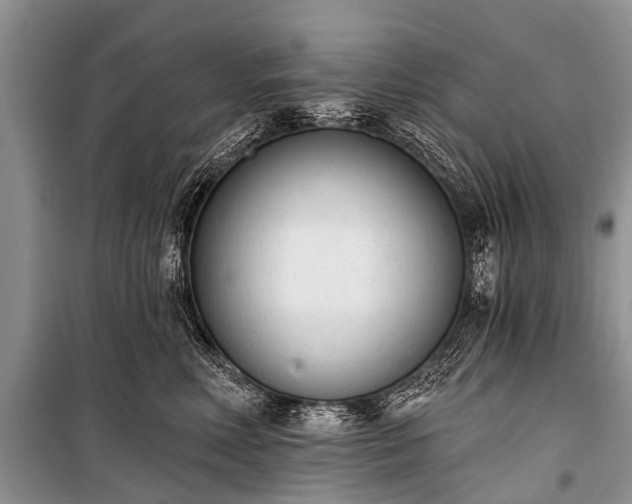 X0000100960618200807011334