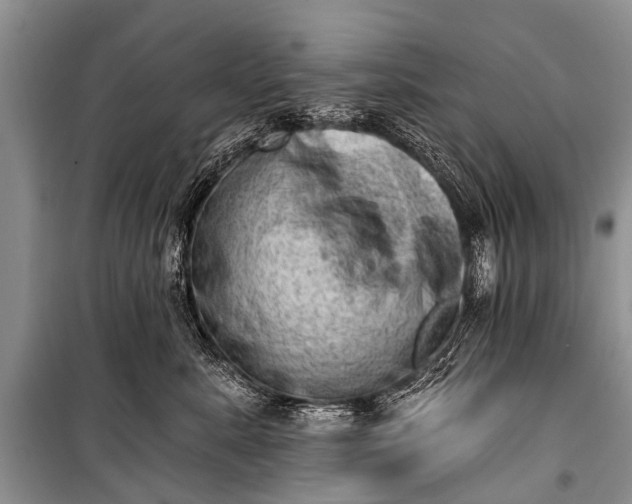 X0000100960619200807011334