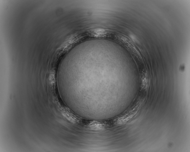 X0000100960620200807011334