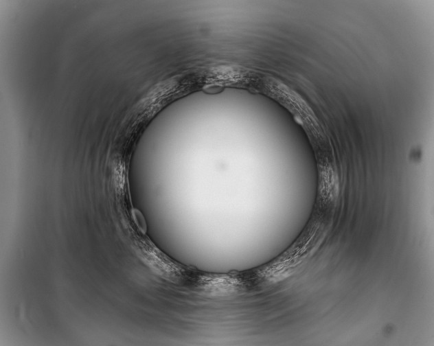 X0000100960621200807011334
