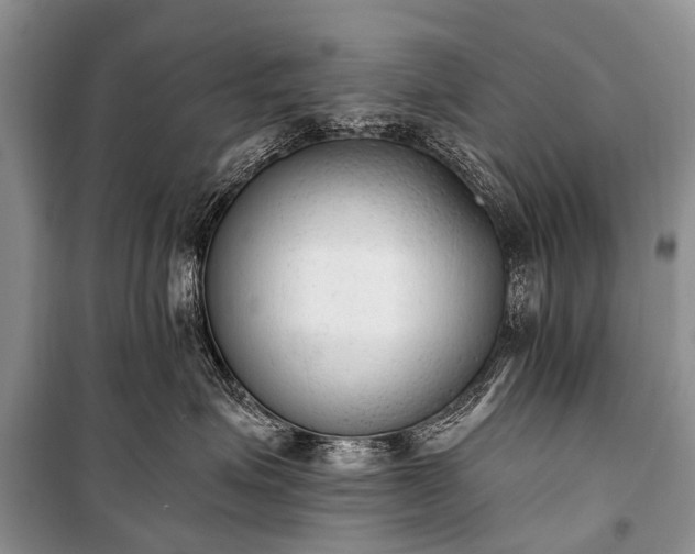 X0000100960623200807011334