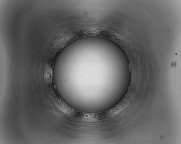 X0000100960624200807011334