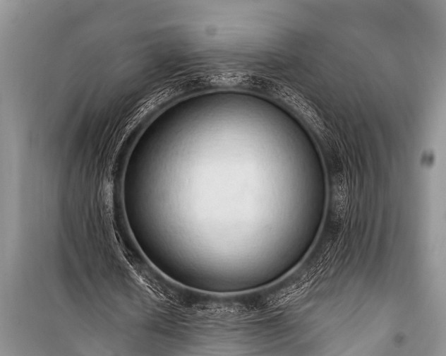 X0000100960626200807011333