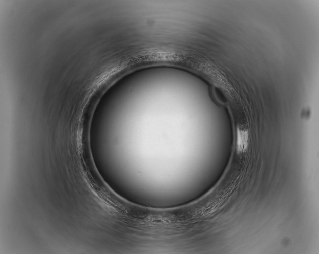 X0000100960627200807011333