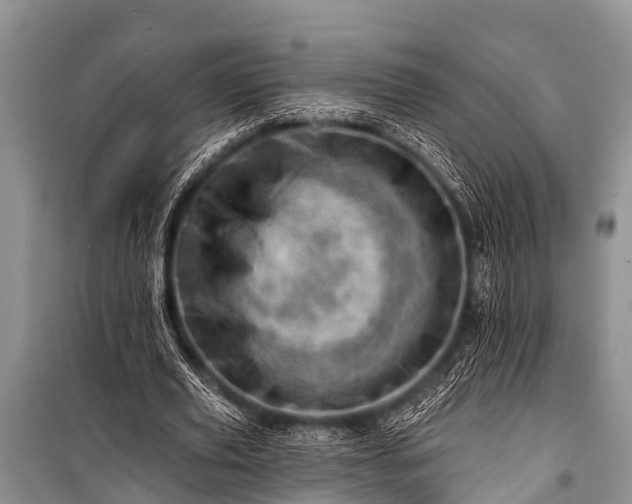 X0000100960629200807011333