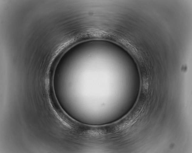 X0000100960630200807011333