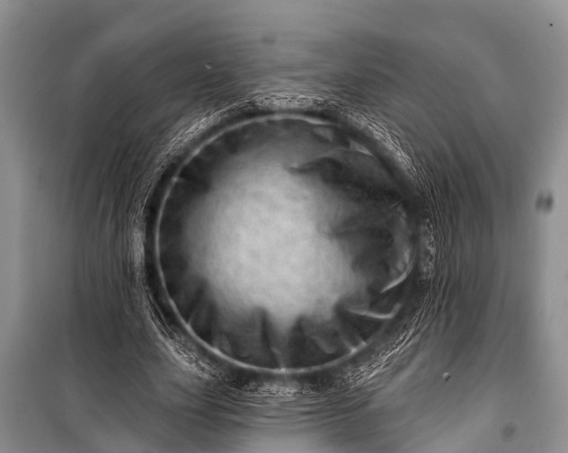 X0000100960631200807011333