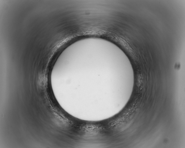 X0000100960632200807011333