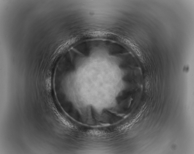 X0000100960633200807011333