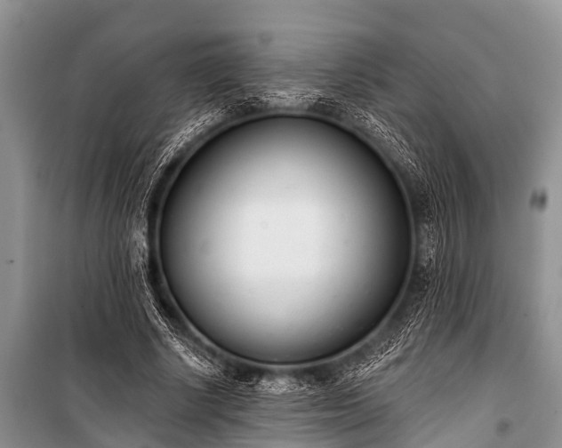 X0000100960634200807011333
