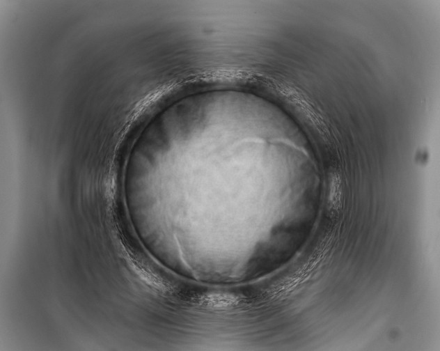 X0000100960636200807011333