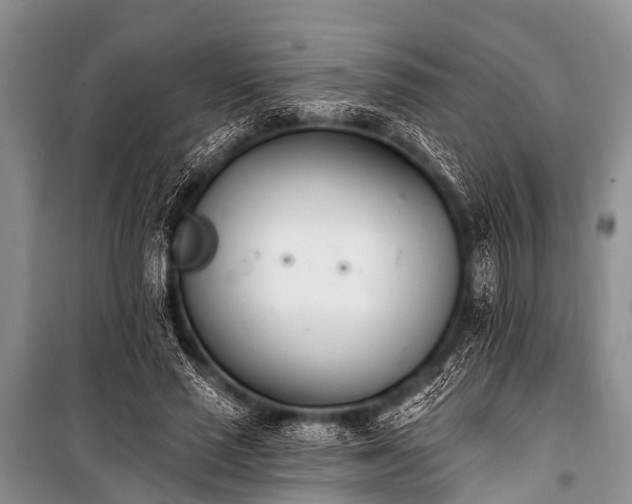 X0000100960637200807011333