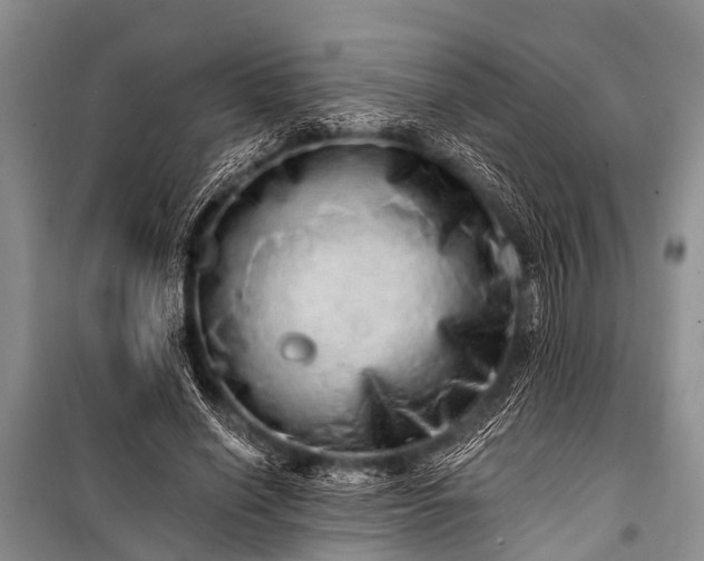 X0000100960638200807011333