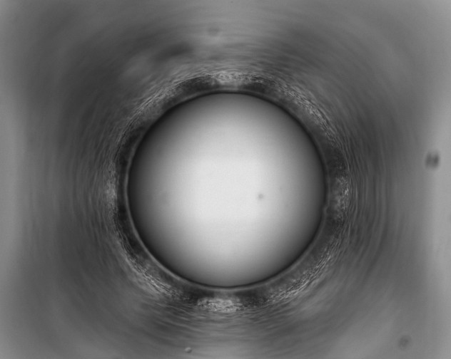 X0000100960639200807011333