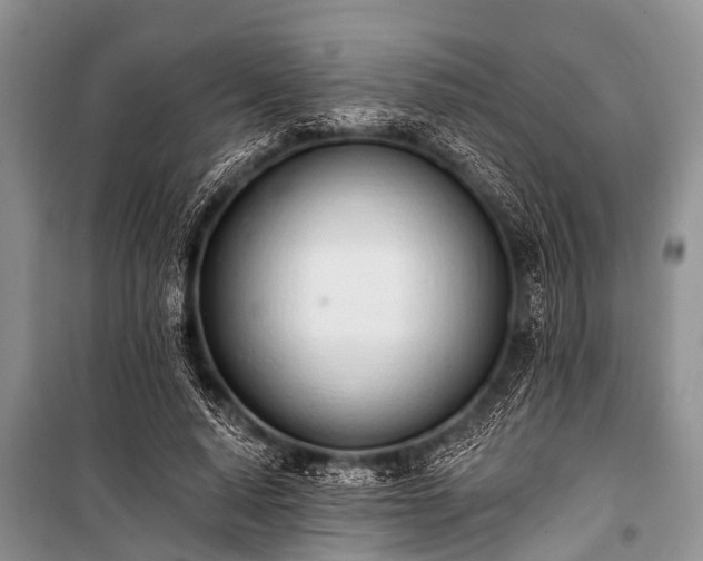 X0000100960640200807011333
