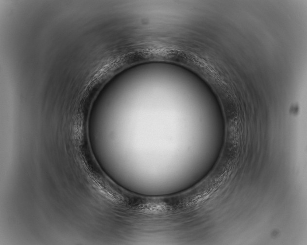 X0000100960642200807011333