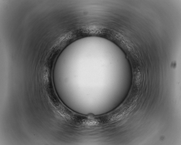 X0000100960643200807011333