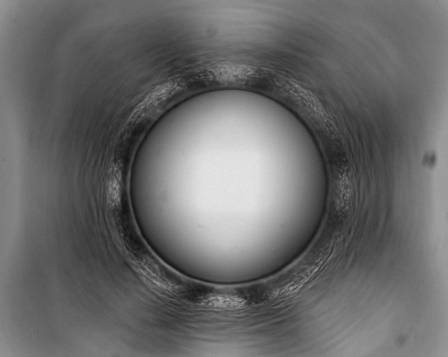 X0000100960644200807011333