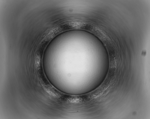 X0000100960646200807011333