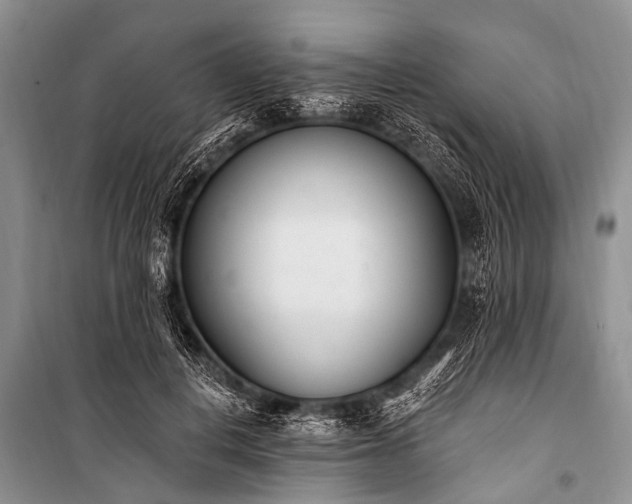 X0000100960648200807011334