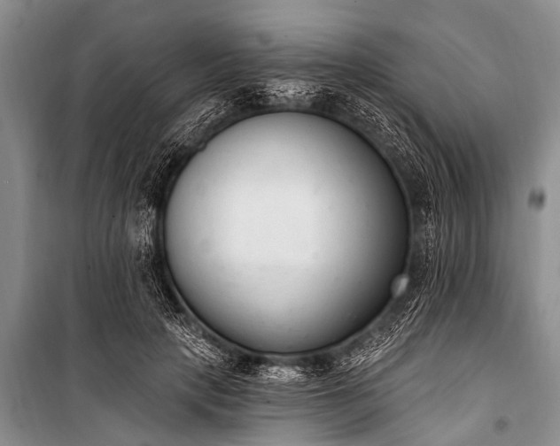 X0000100960649200807011334